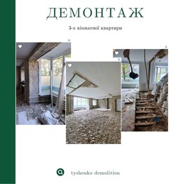 Tyshenko Demolition 
