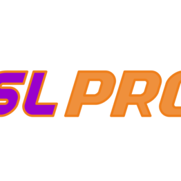 Компанія  SL Profi