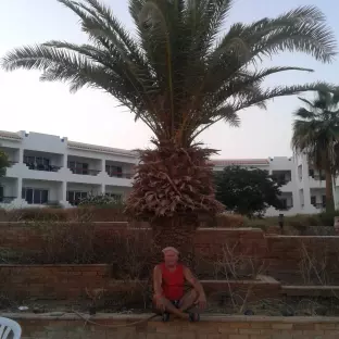 Сергій    Степанович