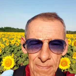 Володимир    Володя