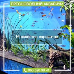 Дмитрий  Севрук