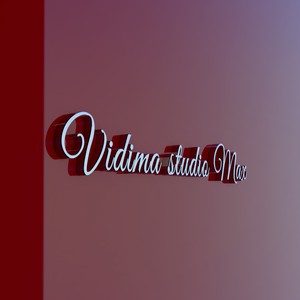 Vidima studio MAX  