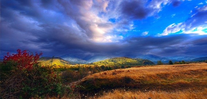Весільні фото