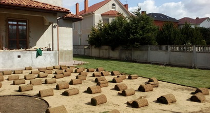 Рулонный газон.