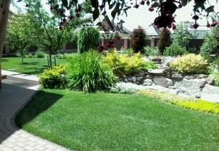 Посів газону