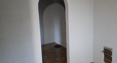 Короїдна штукатурка  