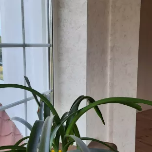 Поклейка шпалер. Ґрунтувався стін. 