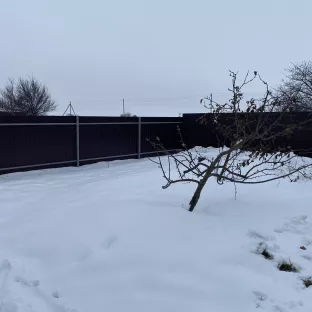 Паркан з профільного настилу