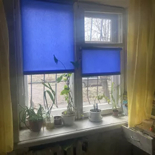 Жалюзі